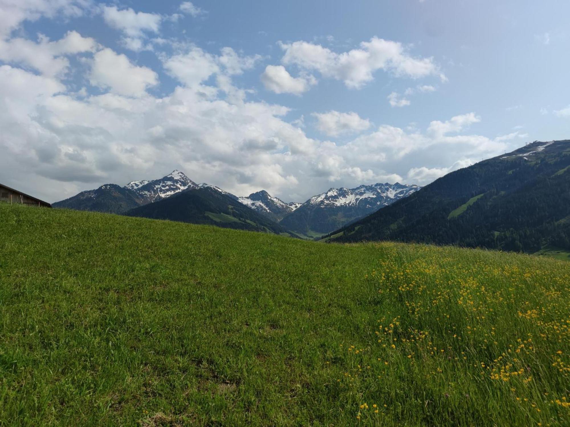 Chalet Mountain View アルプバッハ エクステリア 写真